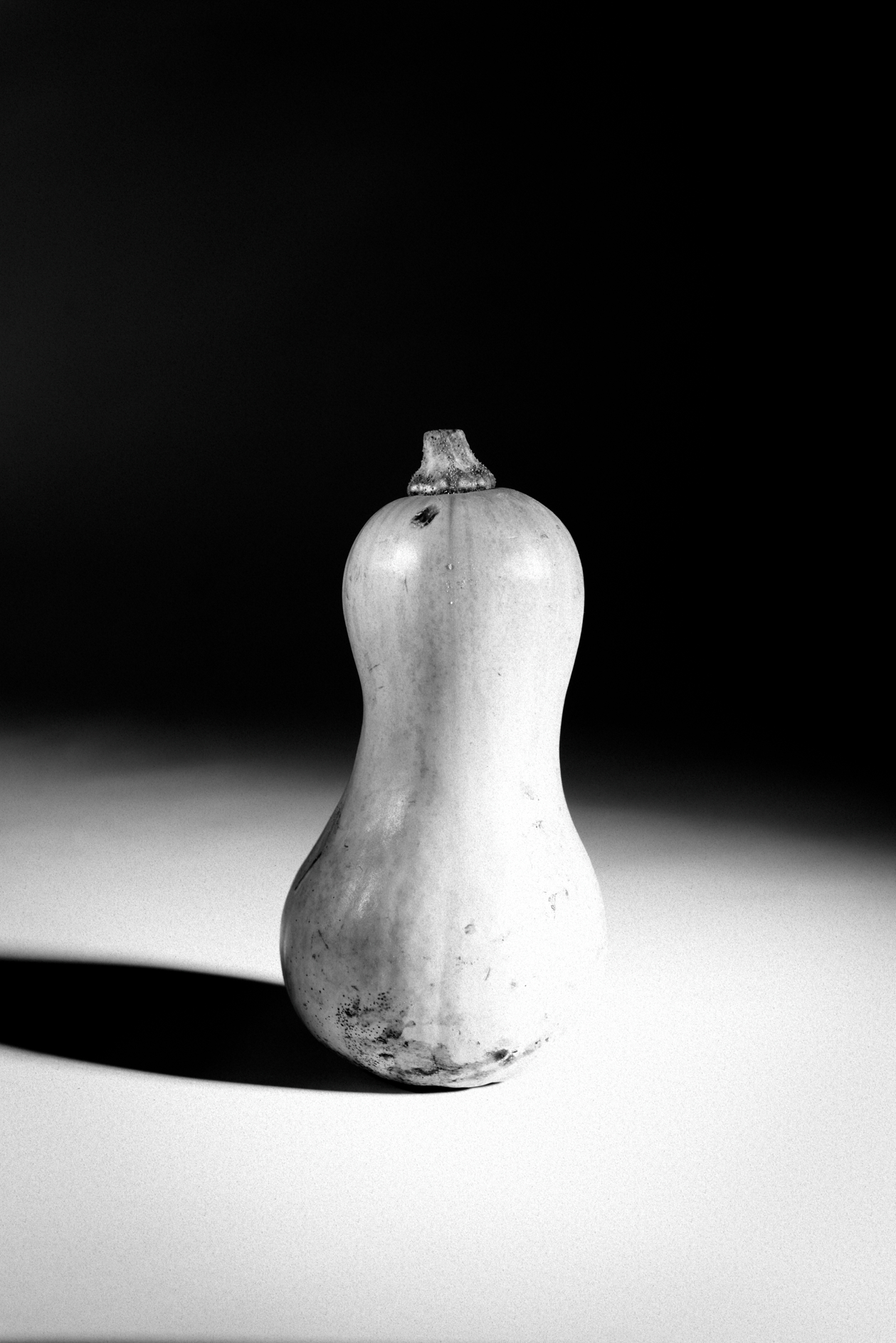 butternut noiretblanc