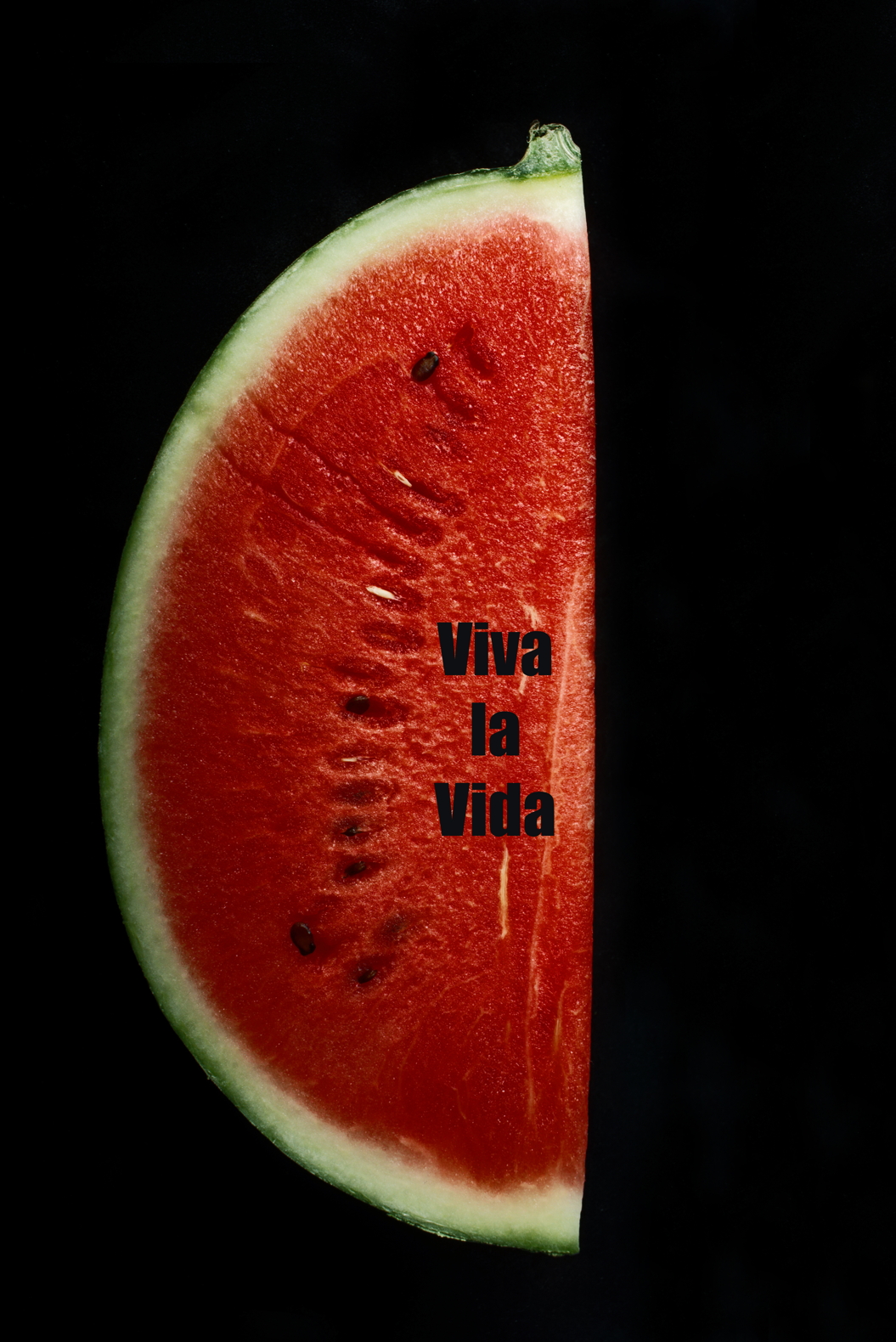 moule%20peinturée Elsa%20barré